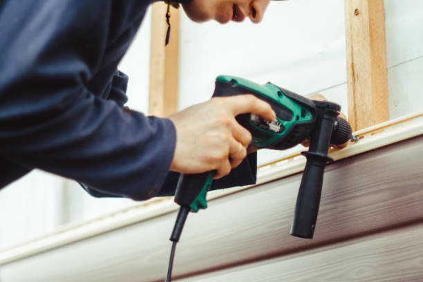 Affordable Siding Repair and Maintenance Services in Clinton, MI